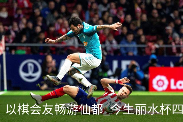 以棋会友畅游仙都 今生丽水杯四地围棋交流活动圆满落幕