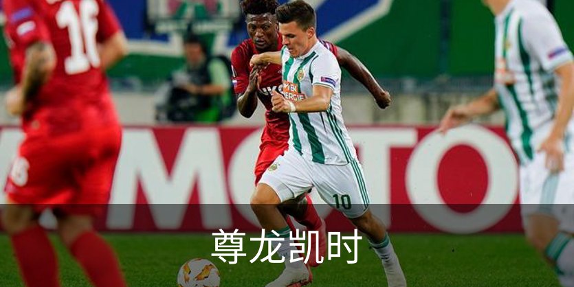 尊龙凯时简介